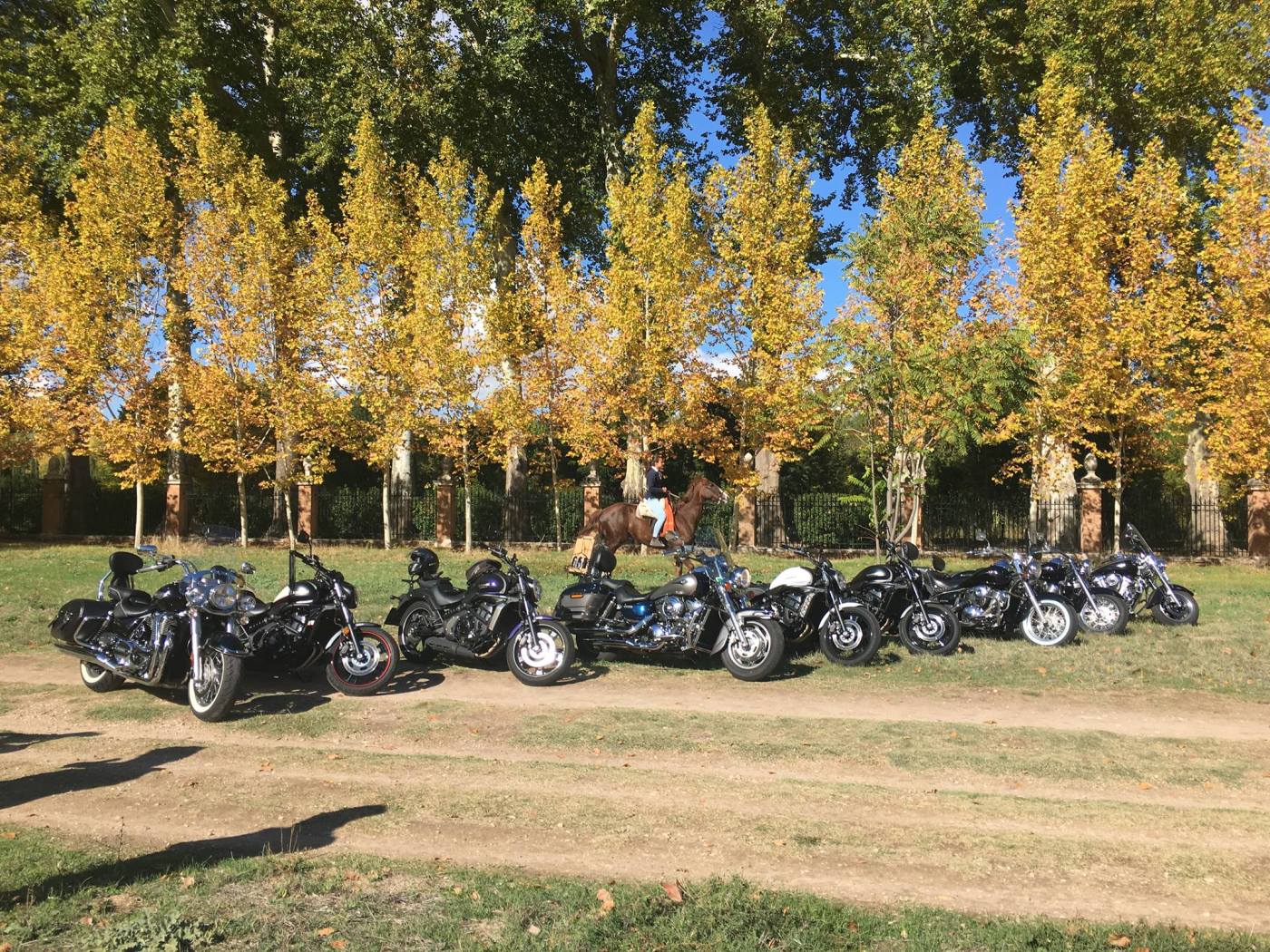 vulcan riders asociacion